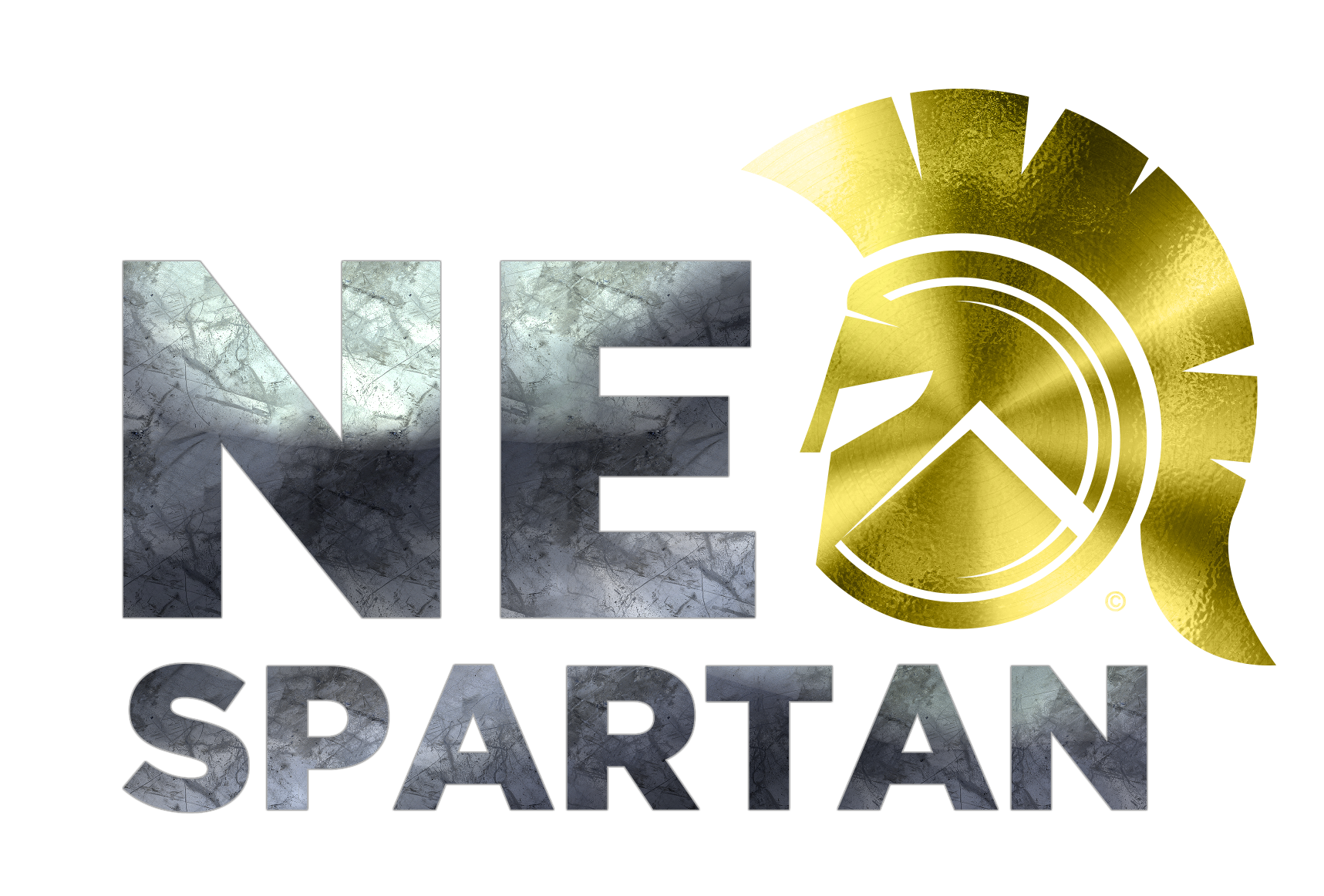 Neo Training Program Bodymasters | Neo-Spartan Training System